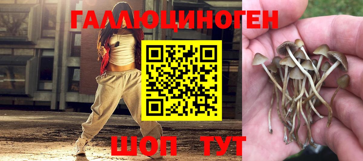 купить   Вход с VPN  Сергиев Посад  Галлюциногенные грибы мицелий 